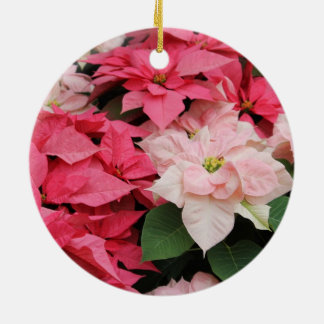 Ornamento rosado de los Poinsettias