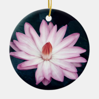 Ornamento rosado de Lotus