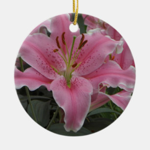 Ornamento rosado del lirio