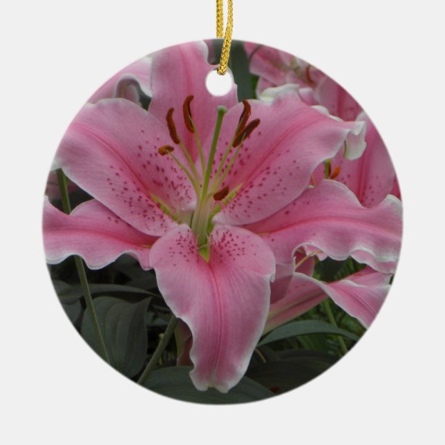 Ornamento rosado del lirio (Frente)