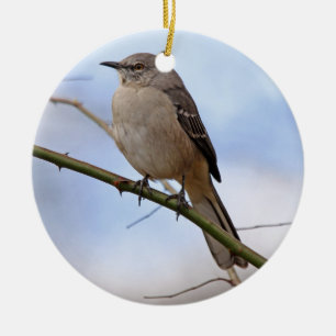 Ornamento septentrional del Mockingbird