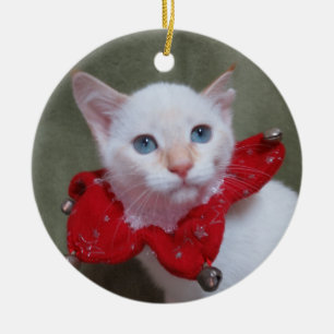 Ornamento siamés del gatito del punto de la llama