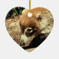 Ornamento sospechado blanco del Coati