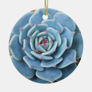 Ornamento suculento color de rosa