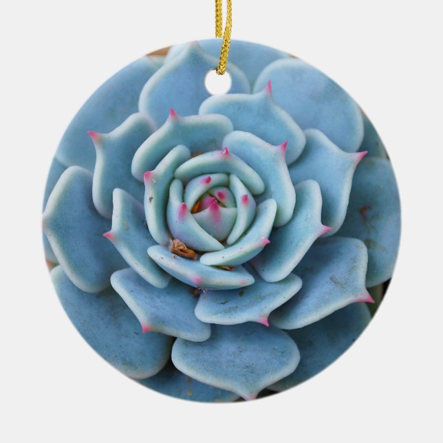 Ornamento suculento color de rosa (Frente)
