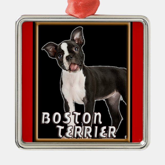 ORNAMENTO SUPERIOR DEL NAVIDAD DE BOSTON TERRIER (Frente)
