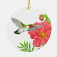 Ornamento Throated de rubíes del colibrí