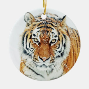 Ornamento tigre