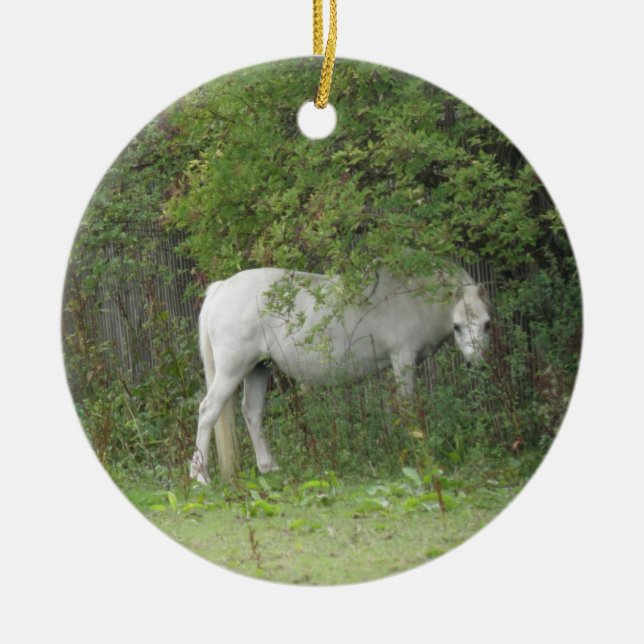Ornamento tímido de caballo blanco (Frente)