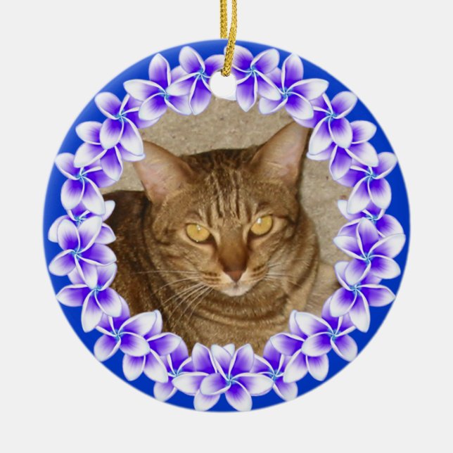 Ornamento tropical de la foto de los leus del (Frente)