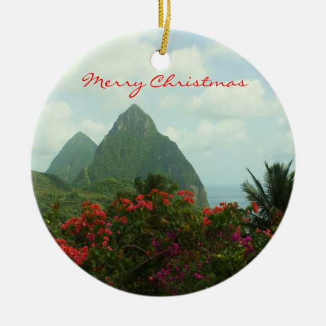 Ornamento tropical de las Felices Navidad del (Frente)