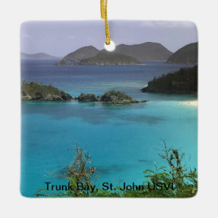 Ornamento tropical del navidad