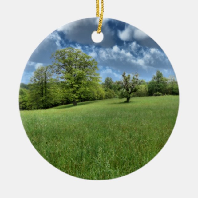 Ornamento verde appalache (Frente)