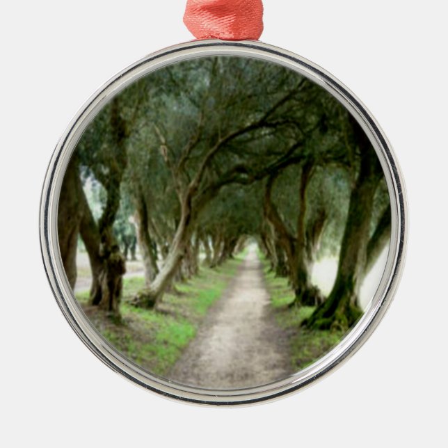 Ornamento verde oliva del jardín (Frente)