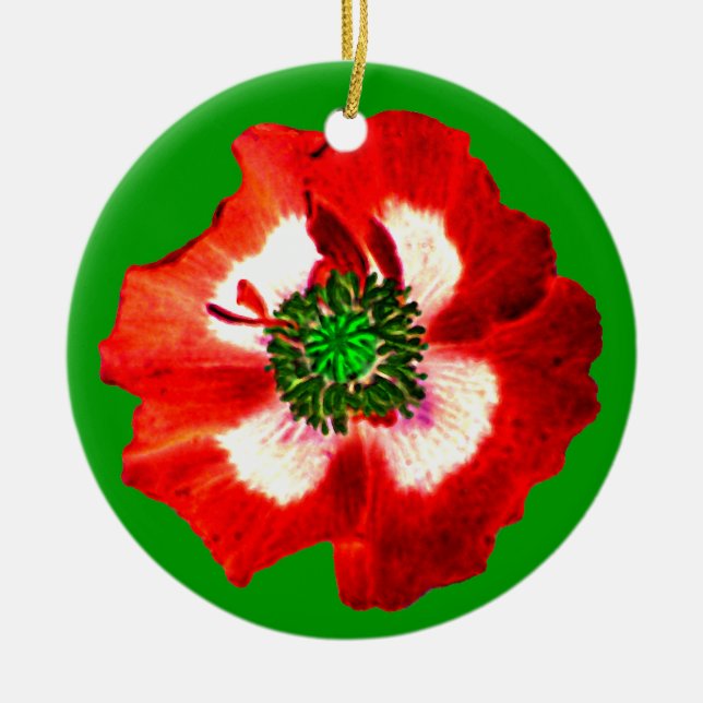 Ornamento verde verde rojo blanco adormilado (Frente)