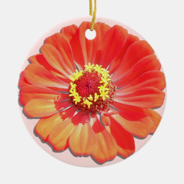 Ornamento - Zinnia Roja (Frente)