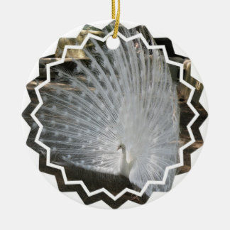 Ornamentos blancos del pavo real