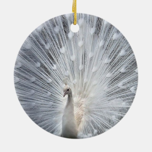 Ornamentos blancos del pavo real del navidad (Atrás)