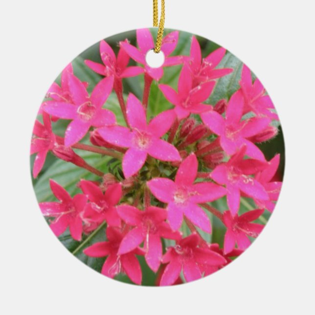 Ornamentos de flores tropicales rosa brillante (Frente)