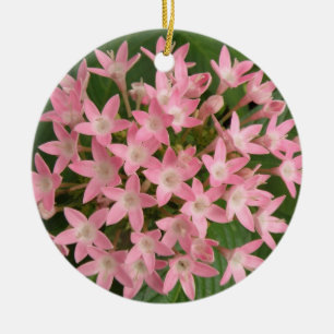 Ornamentos de flores tropicales rosadas de bonito