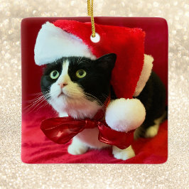 Ornamentos de Navidad engullen al gato del Tuxedo
