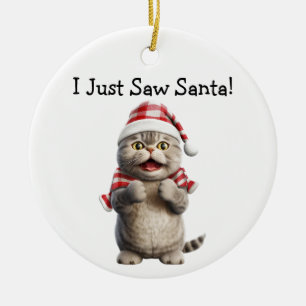 Ornamentos de Whiskers y Winter Cheer Cat
