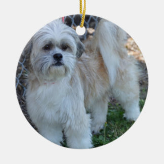 ornamentos del árbol de navidad de la foto del