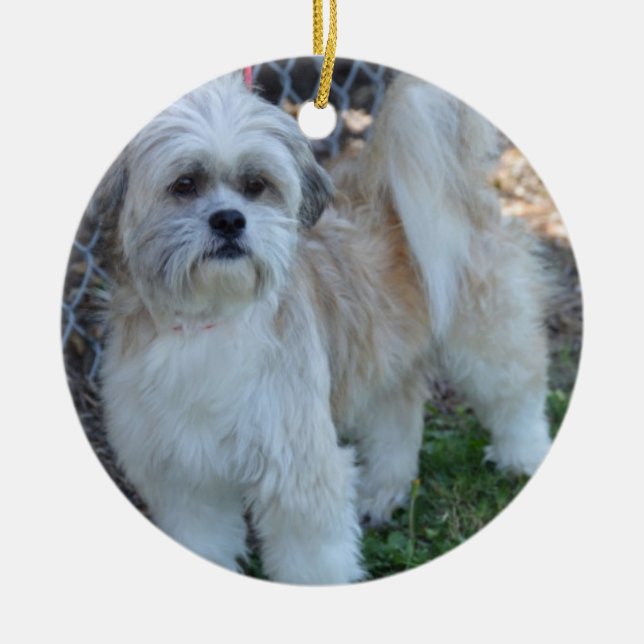 ornamentos del árbol de navidad de la foto del (Frente)