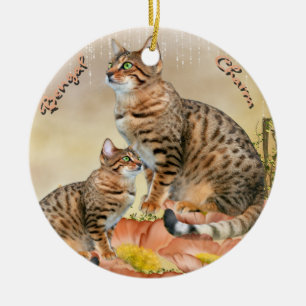 Ornamentos del gato de Bengala