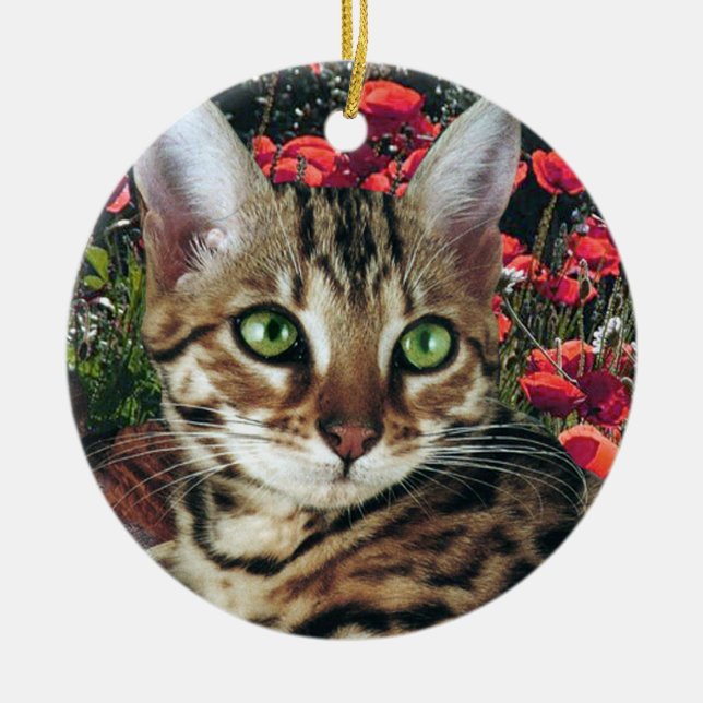 Ornamentos del gato de Bengala (Frente)