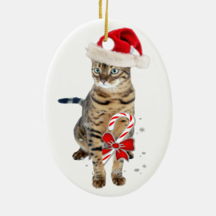 Ornamentos del gato de Bengala