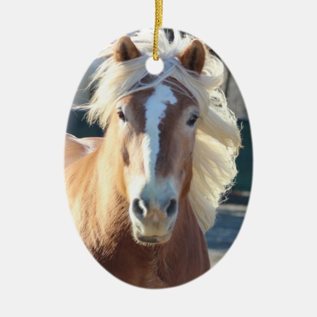 Ornamentos del navidad de Haflinger (Frente)