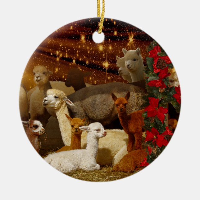 Ornamentos del navidad de la alpaca (Frente)
