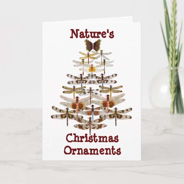 Ornamentos del navidad de la naturaleza (Anverso)