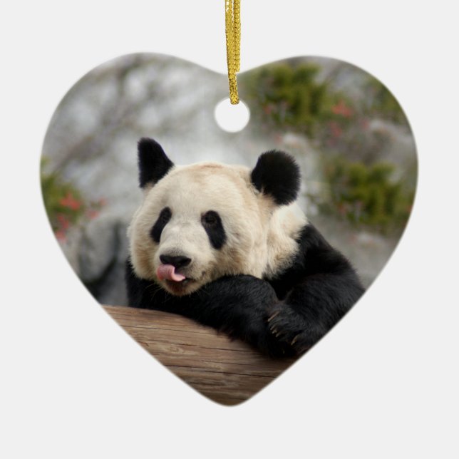 Ornamentos del navidad del oso de panda (Frente)