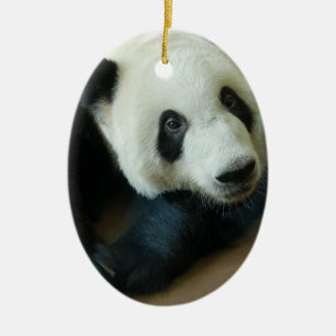 Ornamentos del navidad del oso de panda