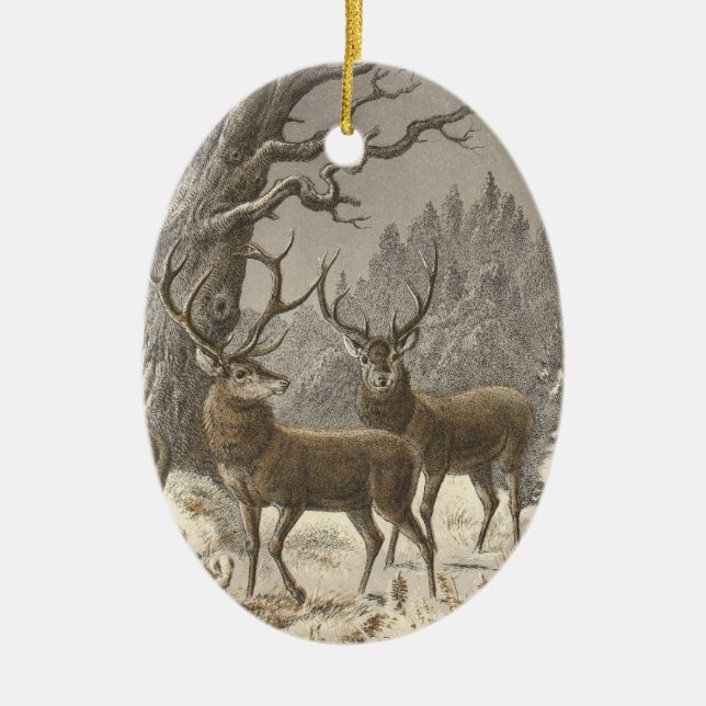 Ornamentos del navidad del verdugón del der de (Frente)