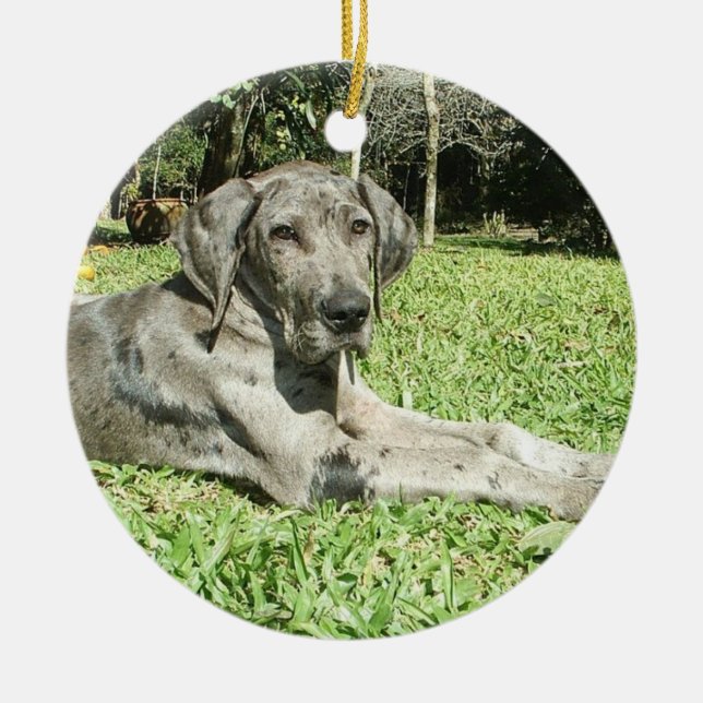 Ornamentos del perrito de great dane (Frente)
