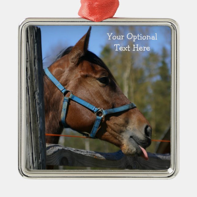 Ornamentos divertidos de personalizados de caballo (Frente)