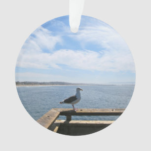 Ornamentos escénicos del acrílico de la gaviota