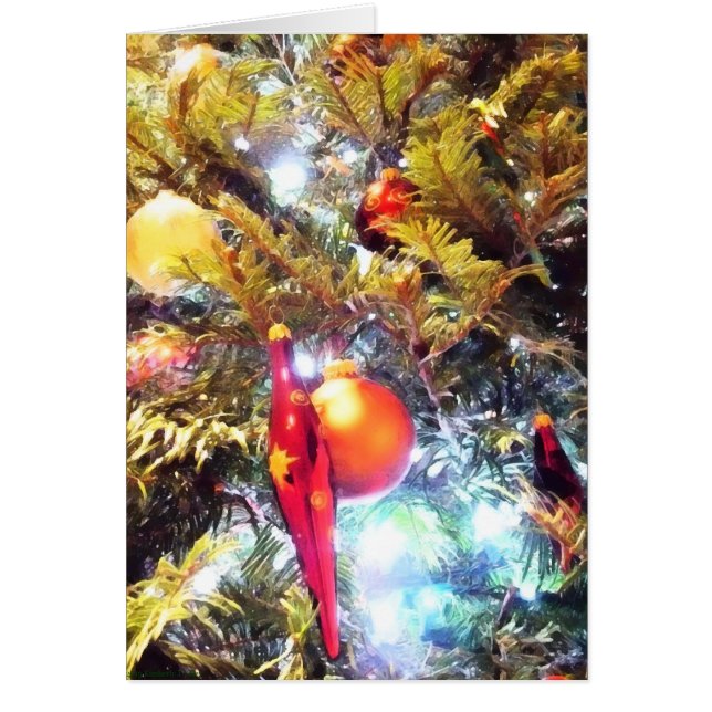 Ornamentos ilustrativos (Frente)