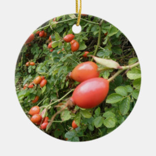Ornamentos Juicy Red Rose Hips
