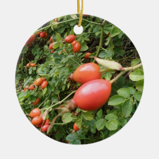 Ornamentos Juicy Red Rose Hips (Frente)