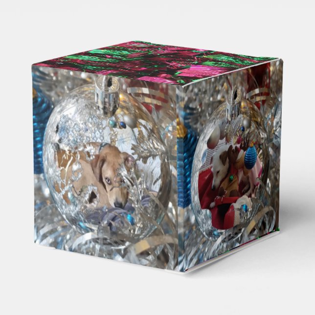 Ornamentos plateados 4 Caja de Favor de la Foto (Reverso Costado)