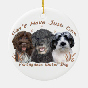 Ornamentos portugueses del perro de agua
