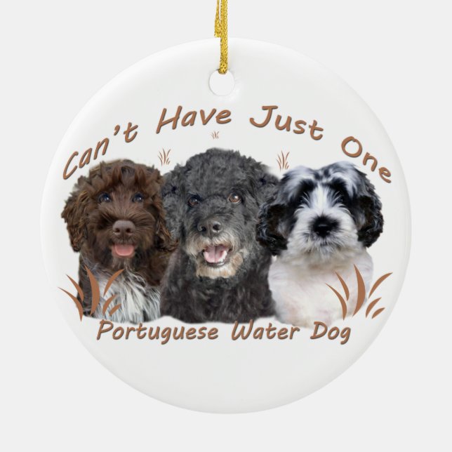 Ornamentos portugueses del perro de agua (Atrás)