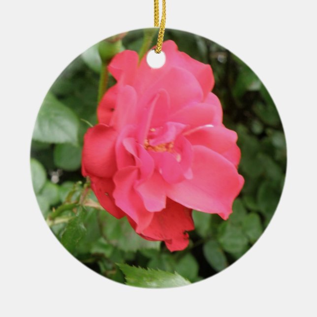 Ornamentos Rosas silvestres (Frente)