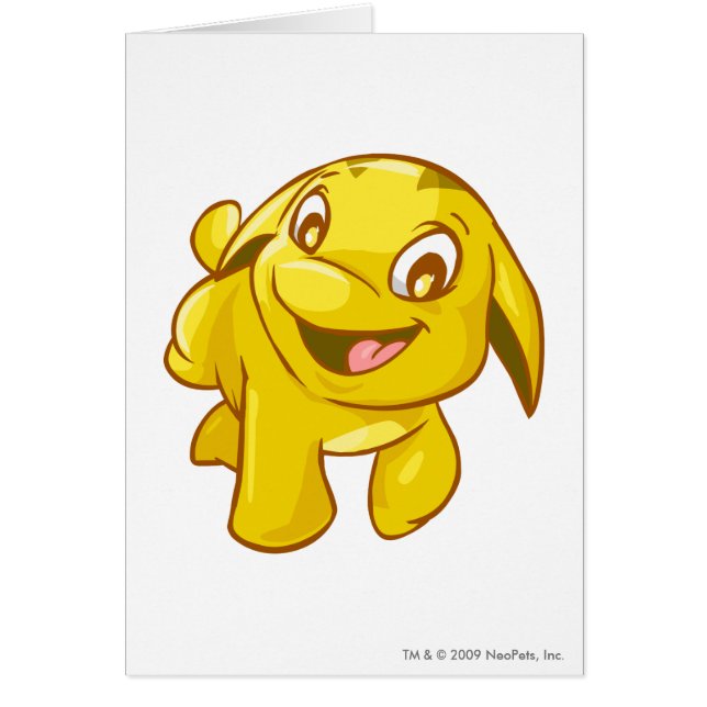 Oro de Poogle (Frente)