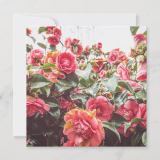 Oro de Zafiro | Tarjeta Plana Cuadrada con Sobre