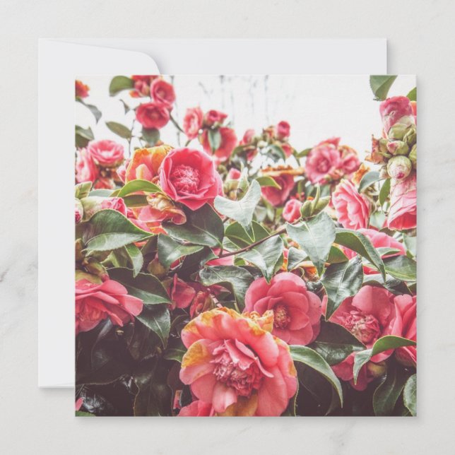 Oro de Zafiro | Tarjeta Plana Cuadrada con Sobre (Anverso)